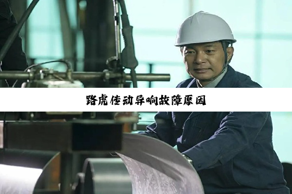 今日科普|路虎传动异响故障原因