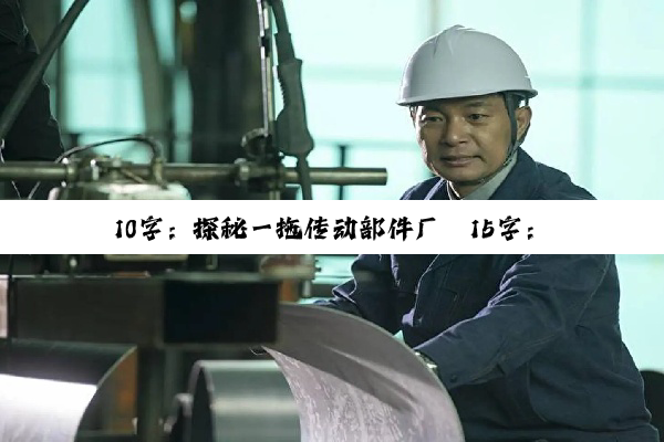 10字:探秘一拖传动部件厂